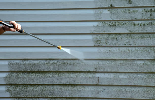 Best Attic Mold Removal  in Oneida, TN